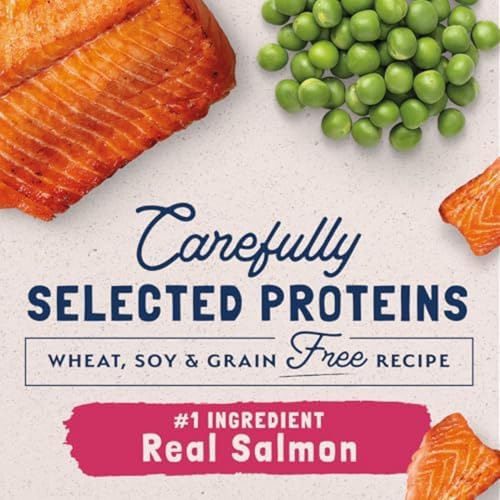 Natural Balance Limited Ingredient Adult Grain-Free Dry Cat Food Salmon & Green Pea Recipe 10 Pound Bag