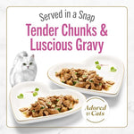 purina fancy feast petites seared salmon entree gourmet wet cat food pack of 12 2.8 oz tubs