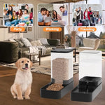 Automatic Cat Feeder and Water Dispenser Set with Pet Food Bowl, Gravity Dog Waterer, and Food Feeder for Small to Large Pets, 3.3L Black