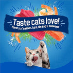 Purina friskies dry cat food seafood sensations with salmon tuna and shrimp flavors 22 lb bag