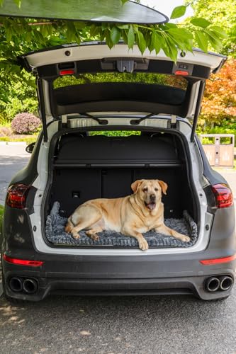 Non-Slip Fuzzy Backseat Pet Mat for Car, 24.8x54 inch, Pet-Friendly Seat Cover for Travel