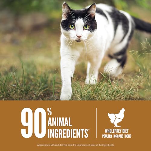 Orijen grain-free high protein premium dry cat food original recipe, 4lb bag, fresh and raw ingredients