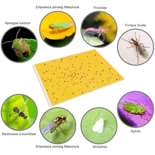 Gideal 20-pack yellow sticky traps for flying plant insects, 6x8 inches, 20pc twist ties included