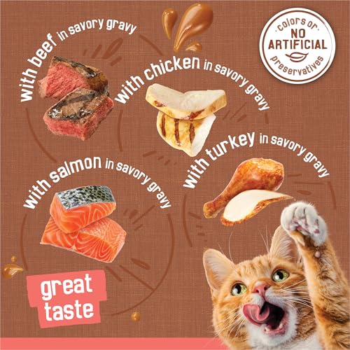 purina friskies 24ct variety pack canned cat food extra gravy with chicken turkey salmon beef 5.5 oz cans