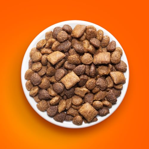iams chicken and salmon dry cat food for picky eaters 3lb bag