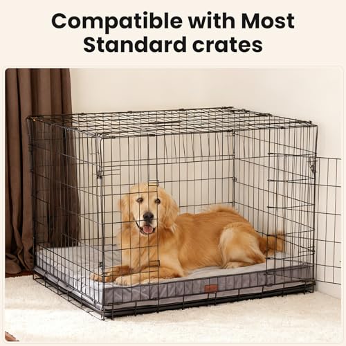 OhGeni orthopedic dog bed for large dogs, machine-washable, waterproof, and comfortable, 41 inch, Gray