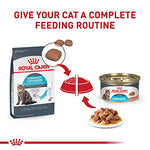 royal canin feline care urinary care adult dry cat food 6 lb bag balanced formula for healthy urine concentration