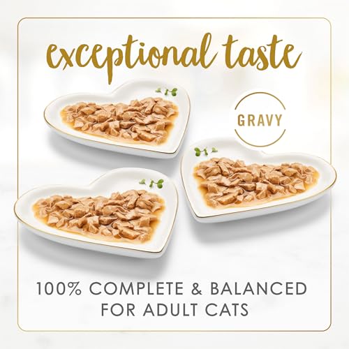 purina-fancy-feast-gravy-lovers-poultry-beef-grilled-gourmet-wet-cat-food-24-count-3-oz-cans