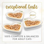 Purina Fancy Feast Gravy Lovers Poultry and Beef Grilled Gourmet Wet Cat Food Variety Pack - (Pack of 24) 3 oz. Cans