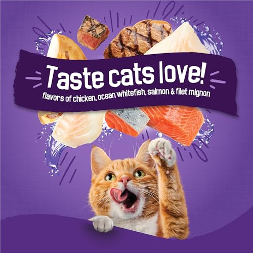 purina friskies cat food surfin and turfin favorites flavors chicken whitefish salmon filet mignon 3.15 lb bags pack of 4