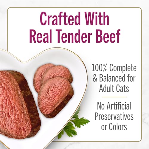 purina fancy feast petites tender beef entree with carrots in gravy gourmet wet cat food (pack of 12) 2.8 oz. tubs