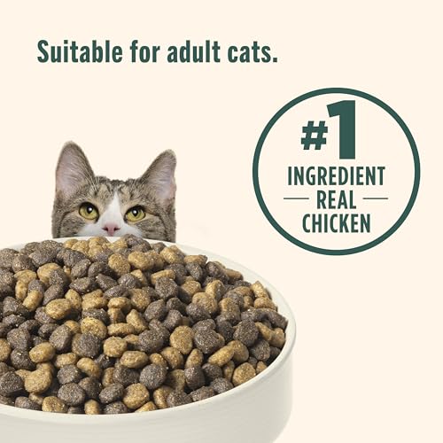 Rachael Ray Nutrish Indoor Complete Chicken & Lentils Dry Cat Food, 6 lb Bag