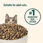 Rachael Ray Nutrish Indoor Complete Chicken & Lentils Dry Cat Food, 6 lb Bag