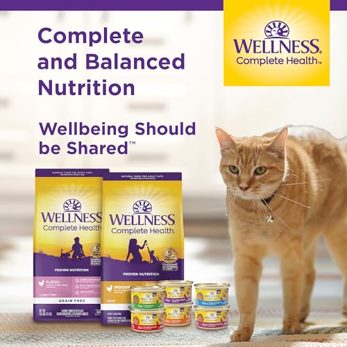 wellness complete health adult dry cat food indoor cats grain free healthy weight chicken turkey meal 5.5 pound bag