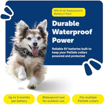 PetSafe Dog Collar Batteries (2 Pack) Dog Collar Battery Waterproof Lithium Metal Product, Rfa-67d-11