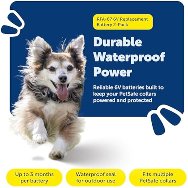 PetSafe Dog Collar Batteries (2 Pack) Dog Collar Battery Waterproof Lithium Metal Product, Rfa-67d-11