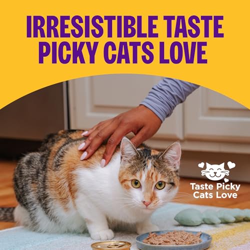 Wellness Complete Health Pate Adult Wet Cat Food, Chicken & Herring, 3 Ounce, Grain-Free, 24 Pack