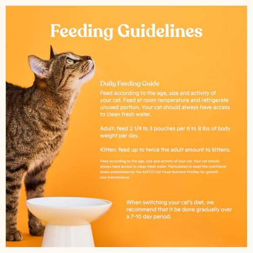 Made by Nacho Wet Cat Food, Cuts in Gravy, Sustainably-Caught Salmon with Bone Broth for Extra Hydration, (12) 3 oz. Pouches, Limited Ingredients