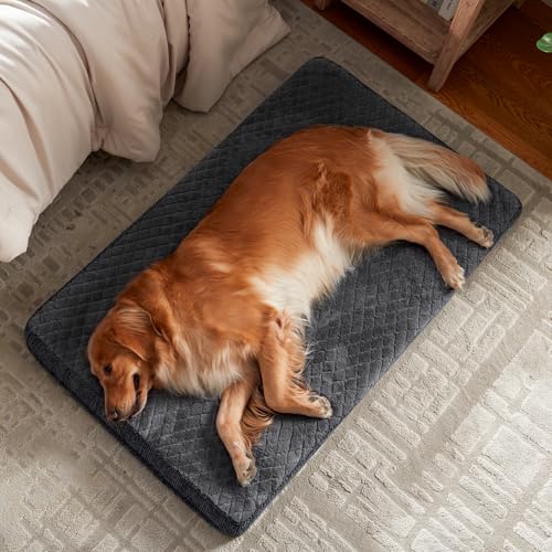 joejoy xl orthopedic dog bed grey 41x27 extra thick egg memory foam