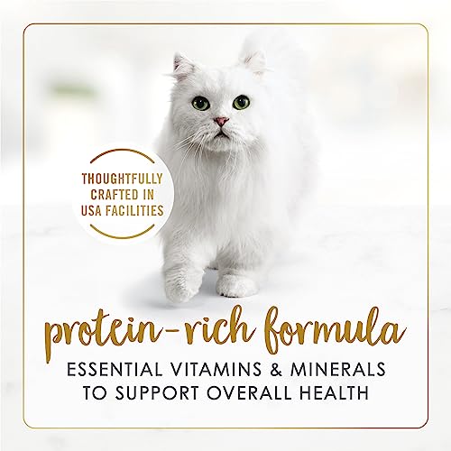 Purina fancy feast gravy lovers variety pack purina wet cat food