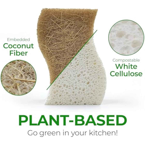 Natural Compostable Cellulose Coconut Walnut Kitchen Sponges 12 Pack Gentle Eco Friendly Daily Cleaning