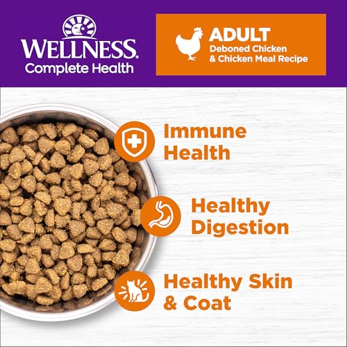 Wellness Complete Health Adult Dry Cat Food, Grain Free, Natural, Chicken & Chicken Meal, 5.5 Pound Bag