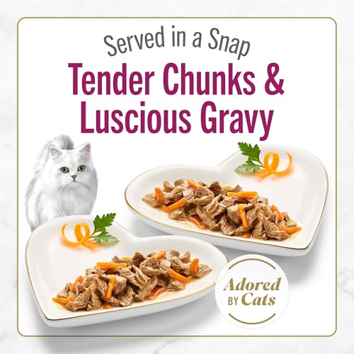 purina fancy feast petites tender beef entree with carrots in gravy gourmet wet cat food (pack of 12) 2.8 oz. tubs