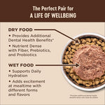 Wellness CORE+ Adult Indoor Cat Food, Grain-Free, Natural, Chicken, Turkey & Chicken Meal, 5 Pound Bag