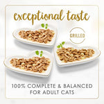 purina fancy feast delights variety pack cheddar grilled chicken turkey whitefish 3 oz cans 24 pack