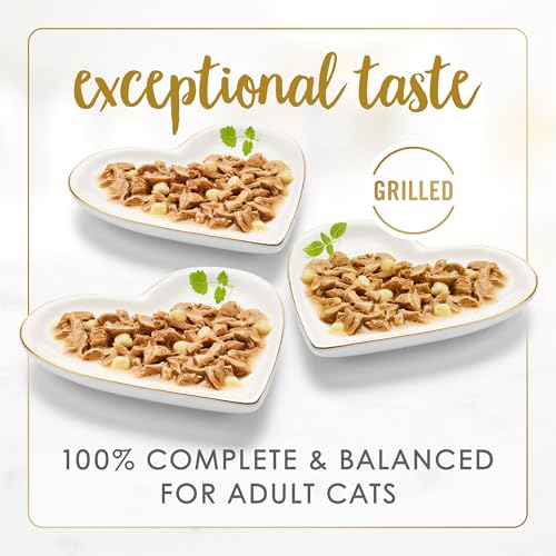 purina fancy feast delights variety pack cheddar grilled chicken turkey whitefish 3 oz cans 24 pack