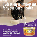 Wellness Complete Health Pate Adult Wet Cat Food, Natural, Protein-Rich, Grain Free, 3 Ounce, 12 Pack, (Chicken & Turkey Favorites Variety Pack)