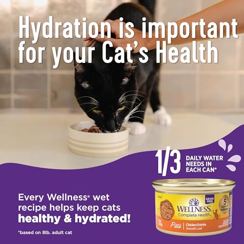 wellness complete health grain-free chicken & turkey cat food 3oz 12 pack