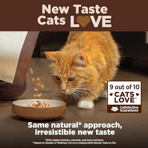 Wellness CORE+ Adult Indoor Cat Food, Grain-Free, Natural, Chicken, Turkey & Chicken Meal, 5 Pound Bag
