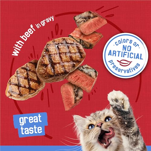 Purina Friskies Shreds with beef in gravy wet cat food, pack of 24, 5.5 oz cans