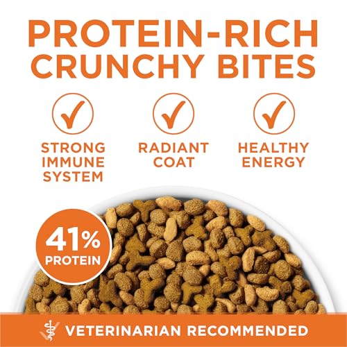 Purina ONE High Protein healthy plus ideal with chicken dry cat food for weight control 7 lb bag
