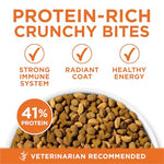 Purina ONE High Protein healthy plus ideal with chicken dry cat food for weight control 7 lb bag