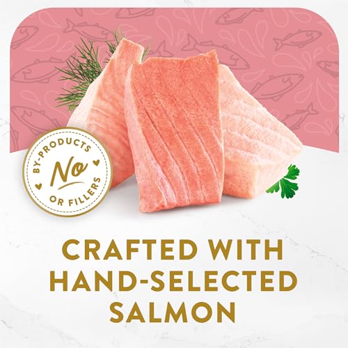 Purina fancy feast wild alaskan salmon appetizer grain free wet cat food topper 1.1 oz trays pack of 10