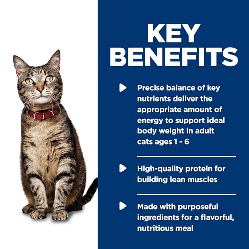 Hills Science Diet Adult 1-6 Premium Nutrition Wet Cat Food Salmon Minced 5.5 oz Can Case of 24