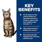 Hills Science Diet Adult 1-6 Premium Nutrition Wet Cat Food Salmon Minced 5.5 oz Can Case of 24