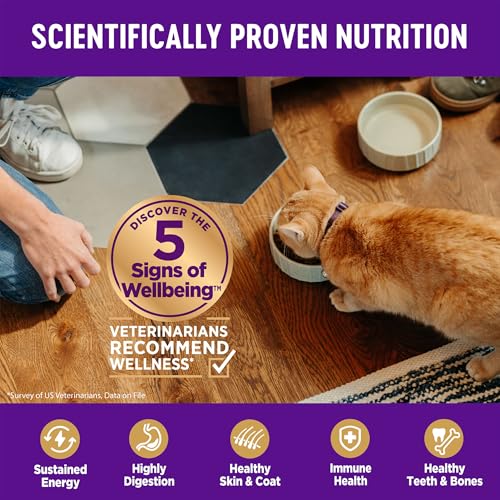 Wellness Complete Health Adult Dry Cat Food, Grain Free, Natural, Chicken & Chicken Meal, 5.5 Pound Bag