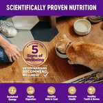 Wellness Complete Health Adult Dry Cat Food, Grain Free, Natural, Chicken & Chicken Meal, 5.5 Pound Bag