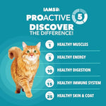 iams proactive health indoor weight control & hairball care adult dry cat food chicken & turkey recipe 7 lb bag