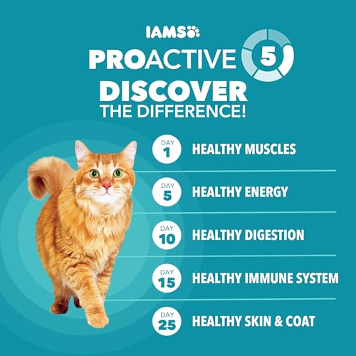 iams proactive health indoor weight control & hairball care adult dry cat food chicken & turkey recipe 7 lb bag