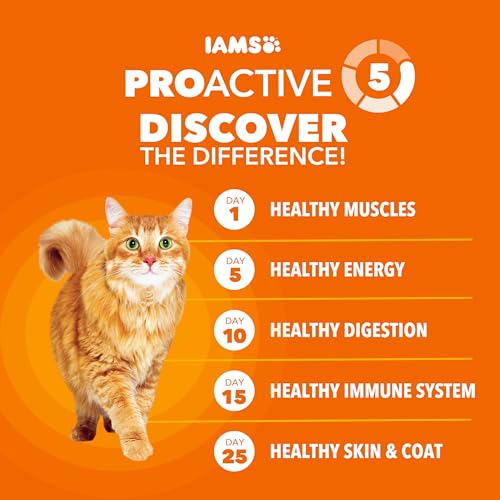 iams-proactive-health-chicken-adult-healthy-dry-cat-food-7-lb-bag