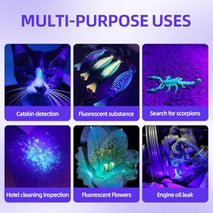 Blacklight Flashlight UV 12-LED Small Portable Mini for Hidden Stain Detection and Pet Urine