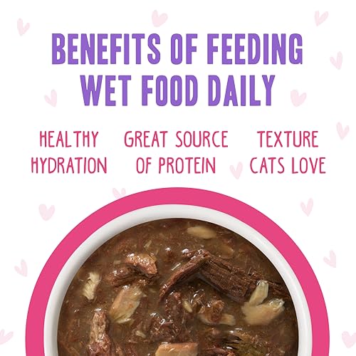 weruva bff oh my gravy! rainbow a gogo variety pack, 3oz pouch, 12-count, grain-free cat food