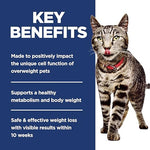 Hills Science Diet Adult 1-6 Perfect Weight Cat Food, 3lb Chicken Recipe, Weight Management Support