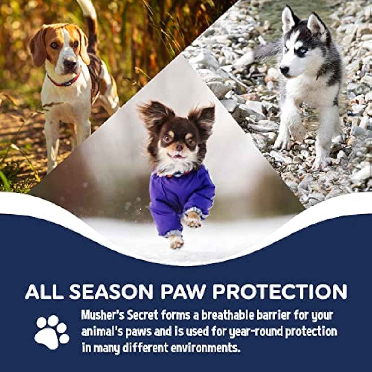 Musher's Secret Dog Paw Wax 60g – Moisturizing Dog Paw Balm – Helps Protect & Heals Cracked Paws – Creates an Invisible Paw Protectors Barrier – All-Natural Nose & Paw Balm with Vitamin E