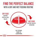 royal-canin-feline-health-nutrition-indoor-adult-morsels-in-gravy-cat-food-3-oz-pack-of-24