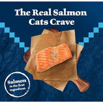 Blue Buffalo Wilderness Natural High Protein Grain Free Dry Cat Food for Adult Cats Salmon 11-lb Bag
